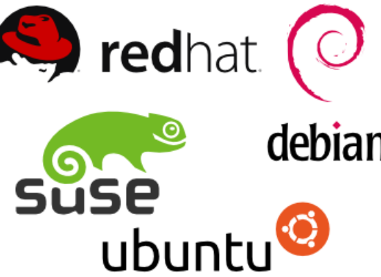 https://deepskyblue.ro/wp-content/uploads/2023/01/linux-ruds-550x400.png